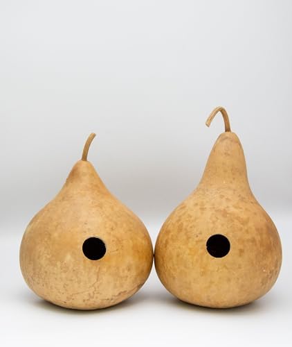 Natural Gourd Birdhouse Blanks for Crafts, 15 Count - Image 7