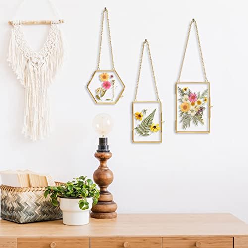 Relaxing Garden Pressed Flower Frame Kit, 3 Hanging Glass Frames - Image 7