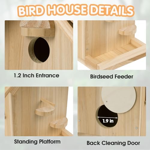 DIY Birdhouse Kit, Wooden Bird House for Adults to Build, DIY Bird House for Outside, Outdoor Woodworking Adult Crafts - Image 7