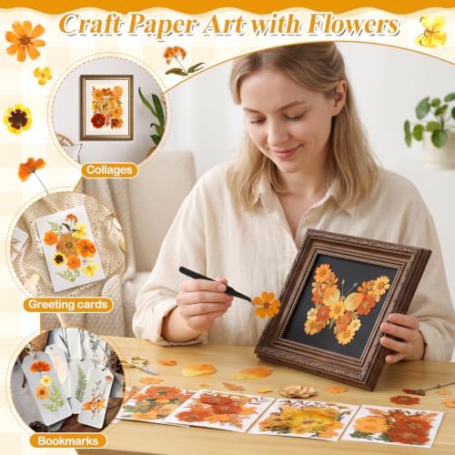 150 PCS Fall Dried Pressed Flowers for Crafts, Real Orange Red Dried Wildflowers Leaves Bulk Nature Pressed Dried Flower for Scrapbooking Candle Resin Jewerly Making - Image 7