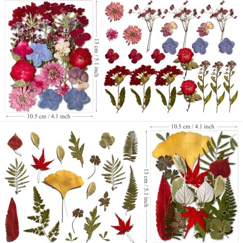 MIKIYA 85Pcs Dried Pressed Flowers for Resin Molds, Real Natural Bulk Dry Floral Leave for DIY Art Crafts, Epoxy Jewelry, Candle, Soap Making, Nails Decors Gifts - Image 6