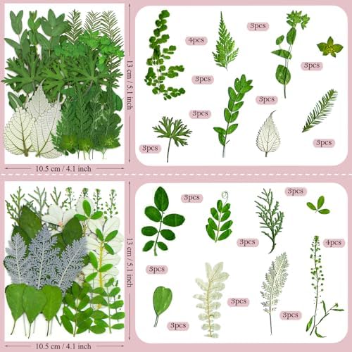 100 Pcs Dried Pressed Flowers Leaves for Resin Molds, Real Natural Bulk Dry Wildflowers Perfect for Epoxy, DIY Crafts, Soap Candles Jewelry Making, and Home Decor - Image 6