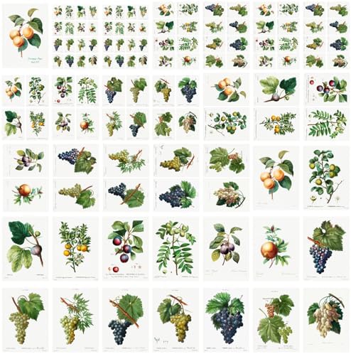 Decoupage Paper Pack (35 Sheets 6"x8") Diagrams of Lush Grapes and Other Fruits FLONZ Vintage Illustration Pictures Cards for Decoupage, Craft and Scrapbooking - Image 4