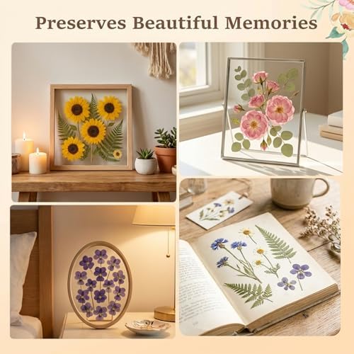 iSharely 11" x 8" Wooden Flower Press Kit, 6-Layer DIY Botanical Craft Set for Adult Dried Flowers Leaves Wedding Bouquets Scrapbooking Cards Crafts Creative Art - Image 7