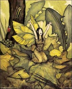 DSC Sleepy Flower Fairy - Paper Tole 3D Decoupage Craft Kit Size 8x10 inches K95725 by DSC