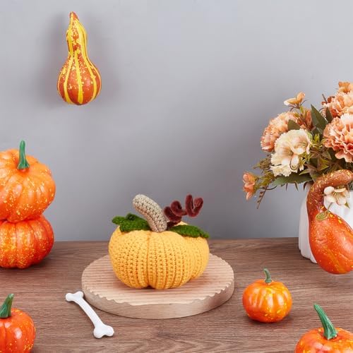 BEUNITONE Crochet Kit for Beginners-1 Set Halloween Pumpkin Crochet Kit,Craft Knitting Crocheting Kits,Learn to Crochet,Include Knitting Yarn,Hook,Instruction,Complete Tools,Holiday Gift - Image 5