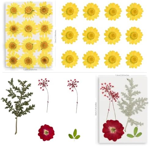 95PCS Real Natural Dried Pressed Flowers and Leaves Craft Kit with 20 Self-Adhesive Bookmarks, Tweezers & Glue Pen for Resin, Scrapbooking & DIY Crafts - Image 6