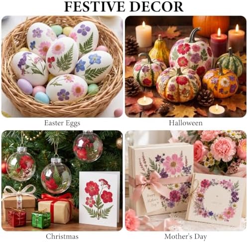 412 Pcs Dried Flowers for Crafts,Real Nature Dried Flowers for Resin - Image 7