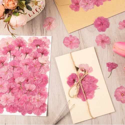 101 PCS Pressed Cherry Blossom for Crafts, Pink Dried Pressed Flowers for Resin DIY Jewelry Making Cake Card Scrapbook Decor, Dried Sakura Flowers for Soap Candle Making - Image 7