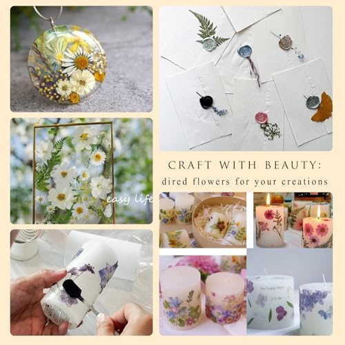 110 PCS Vintage-Colored Pressed Flowers, Colorful-d - Image 5
