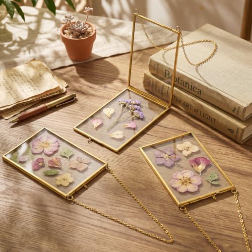 Qunclay 10 Pcs 4 x 6 Inch Pressed Flower Frames Craft Kit for Adults - Image 6