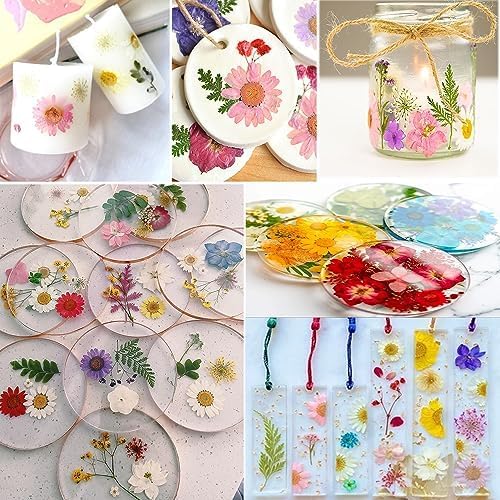 Purple Pressed Flowers 88Pcs Real Natural Dried for Resin Molds, DIY Crafts, Jewelry + Free 100Pcs Butterfly Stickers + Tweezers - Image 6