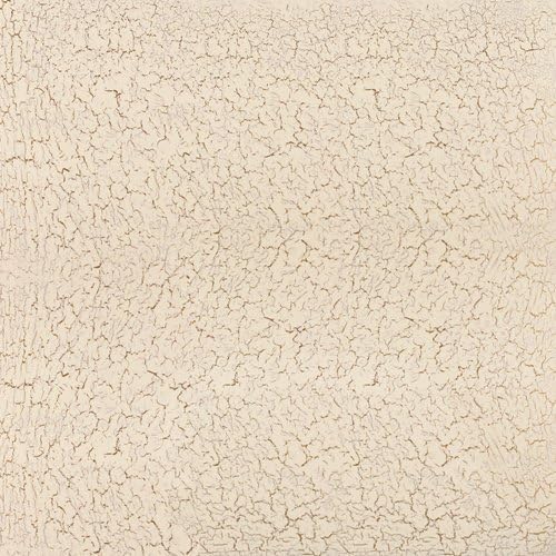 Paper Wishes – 12x12 Bulk Paper Collection | Unique and Fun Papers for Scrapbooking, Cardmaking, Gifts and All of Your DIY Crafting, Art and Creative Projects - Inspiration at Your Fingertips by PaperWishes