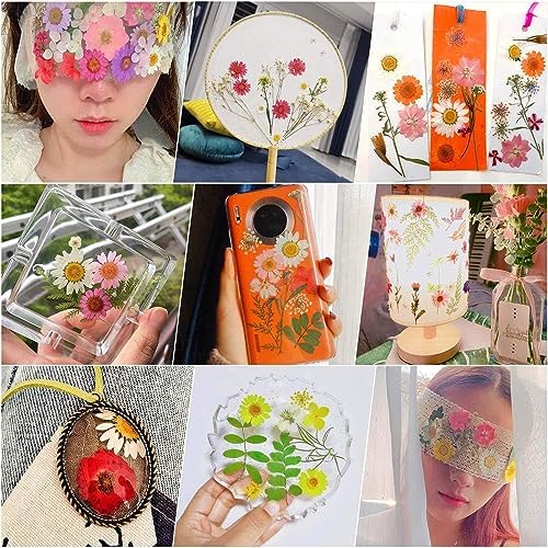 11 Types 40pc Colourful Dried Pressed Flowers for Resin Real Flowers for DIY Bookmark Scrapbook Photo Frame Jewelry Vase Candle Making Nail Card Art Craft Floral Decors - Image 7