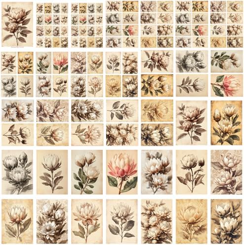 Decoupage Paper Pack (35 Sheets 6"x8") Vintage Proteas: Elegant Sepia-Toned Protea Blooms with Soft Botanical Details in Classic Aged Illustrations and Timeless Floral Charm FLONZ Vintage - Image 4