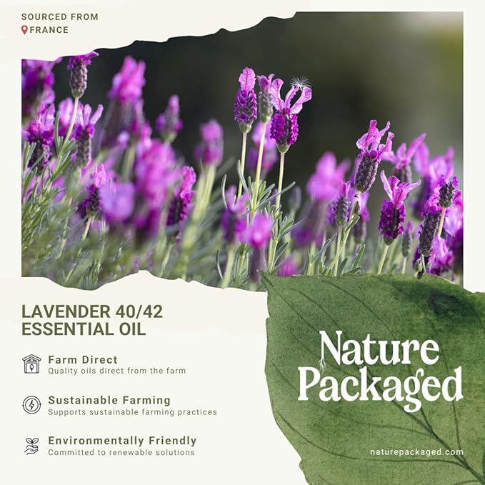 Nature Packaged Lavender 40/42 Essential Oil Direct from France - Essential Oil for Candle Making and Soaps - Pure Lavender 40/42 Oil for Aromatherapy, Skincare, Haircare, Perfumes (8oz)