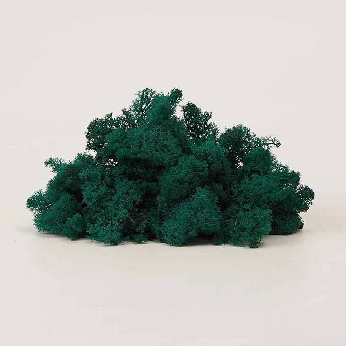 Preserved Reindeer Moss Natural Green DIY Kit Gardenning Art Wall Decor Florist Decor Easter Table Decor Wedding