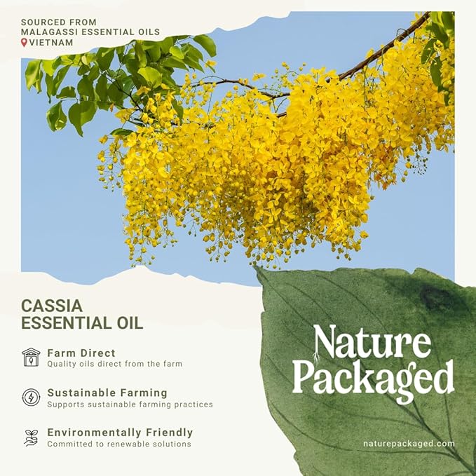 Nature Packaged Cassia Essential Oil - Direct from Vietnamese Mountain Farms - Steam Distilled - Aceite de Casia for Aromatherapy, Massage, Diffuser, DIY Candle and Soap Making - 15ml