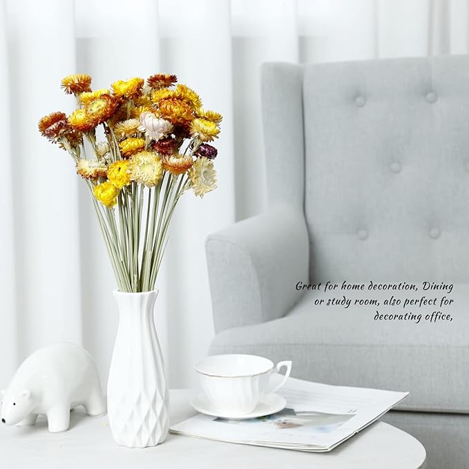 Dried Flower 40PCS Daisy Bouquet 100% Natural Chrysanthemum Dry Flower for Vase Home décor Party DIY Arrangement Wheat Straw Bulk (Multi-Color)