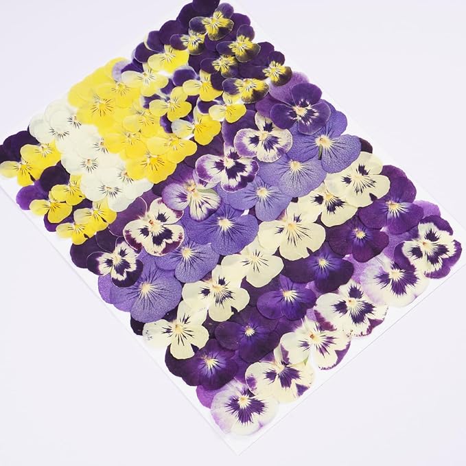 60Pcs Pansy Dried Pressed Flowers for Crafts,Xinxinran Dry Flowers Kit for Cake Decorating,Resin Molds,Bookmark,Jewelry Molds,Candle Making Supplies,Soap,Frame(8 Color)