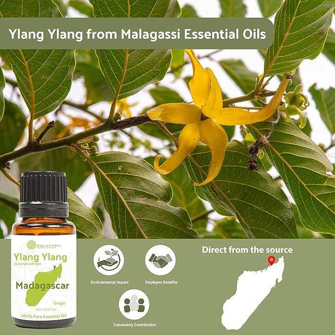 Nature Packaged Ylang Ylang Essential Oil - Direct from Malagassi Essential Oils Madagascar - Steam Distilled - Aceite de Ylang Ylang for Aromatherapy, Diffuser, DIY Candle and Soap Making - 2lbs