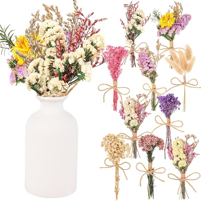 10 Pack Pro Size Dried Flower Bouquets Various Natural Dried Flower Combinations with Stem Dried Embossing Flower Dry Floral Arrangement for Vase, Carfts, DIY, Wedding, Home Decor (Pro)