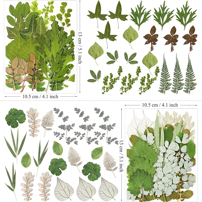 84Pcs Pressed Dried Leaves for Resin Molds, Assorted Real Natural Bulk Dry Flowers for DIY Art Crafts, Epoxy Jewelry, Candle, Soap Making, Nails Decors Gifts