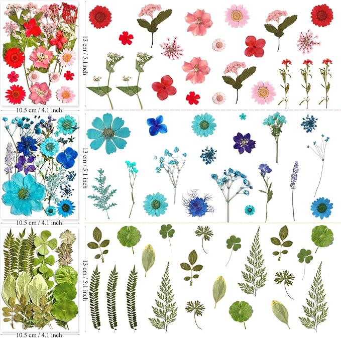 182Pcs Dried Pressed Flowers for Resin Molds, Assorted Real Natural Bulk Dry Floral Leaves for DIY Art Crafts, Epoxy Jewelry, Candle, Soap Making, Nails Decors Gifts