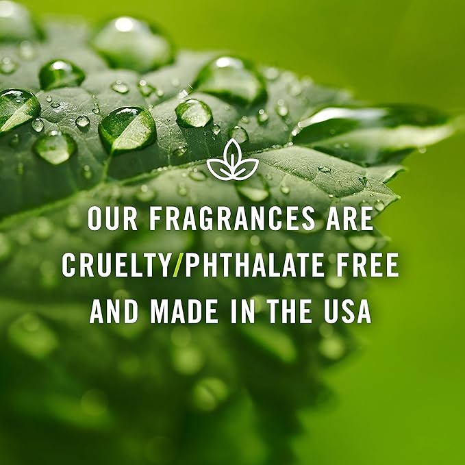 P&J Fragrance Oil - Campfire Scent, 10ml