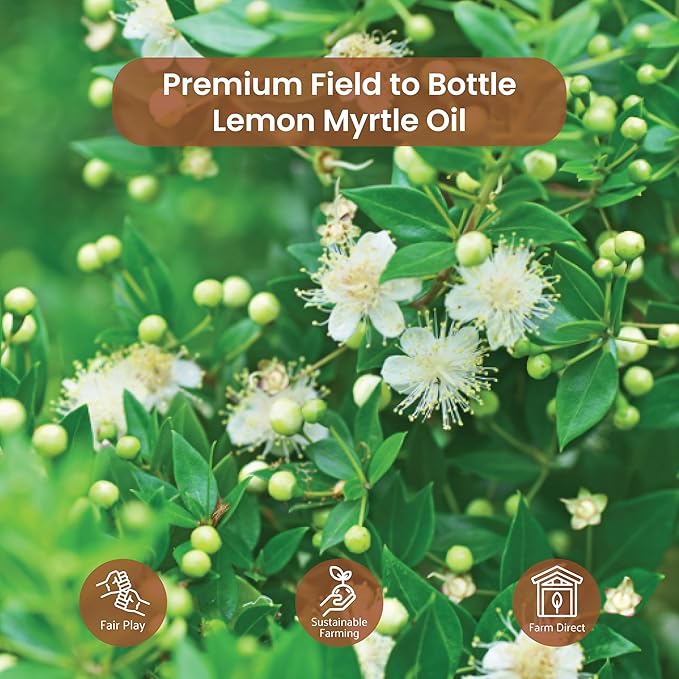 Nature Packaged Lemon Myrtle Essential Oil - Experience an Invigorating, Fresh Citrus Aroma - Pure, Undiluted Therapeutic Grade Essential Oil - 2lbs