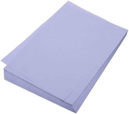 MECCANIXITY 100 Sheet Origami Paper Double Sided Light Purple 11.7 x 8.3 Inch Square Sheet for Art Craft Project, Beginners, Gifts Decor by MECCANIXITY