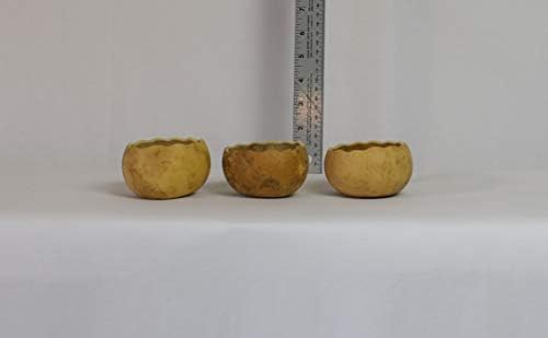 Meadowbrooke Gourds Box of 3 Scalloped Cut 3" Gourd Decorative Bowls for Crafting - Image 3