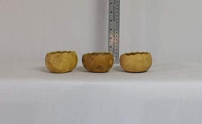 Meadowbrooke Gourds Box of 3 Scalloped Cut 3" Gourd Decorative Bowls for Crafting - Image 3