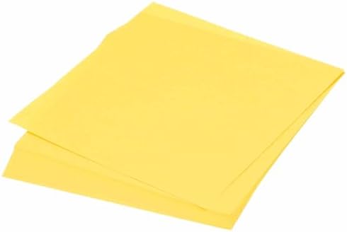 MECCANIXITY 75 Sheet Origami Paper Double Sided 6x6" Golden by MECCANIXITY