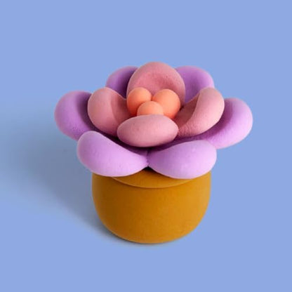 Succulent Clay Kit – Air Dry Foam Clay Craft for Adults & Teens - Image 2