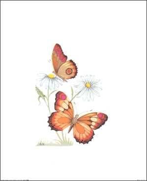 Orange Butterfly and Daisy Flowers - Paper Tole 3D Decoupage Craft Kit Size 8x10 inches K51236 (The Additional Pictures Show Examples of This Craft Kit Assembled and Framed in a Shadow Box Frame) by DSC