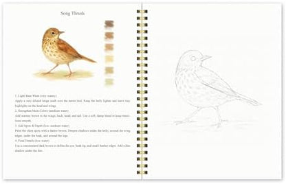 Watercolor Workbook for Beginners – Birds, 16 Original Watercolor Projects, Watercolor Kit with 48 Colors Paint Set, 6 Brushes & Palette, Watercolor Workbook for Adults,Creative Art Gift - Image 6