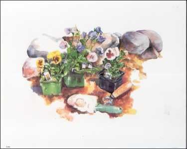 DSC Pansy Flower Gardening - Paper Tole 3D Decoupage Craft Kit Size 8x10 inches K8-592 by DSC