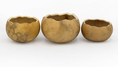 Meadowbrooke Gourds Box of 3 Scalloped Cut 3" Gourd Decorative Bowls for Crafting by MeadowbrookeGourds