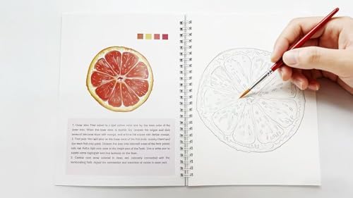 Watercolor Workbook，Water Paint Adult Set，Easy Coloring Book,Beautiful Paintings for Beginner (Fruit - Album) (Fruit - 24 Colors) - Image 5