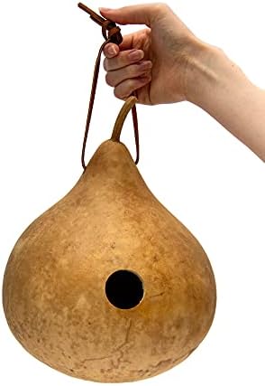 Natural Gourd Birdhouse Blanks for Crafts, 15 Count - Image 4