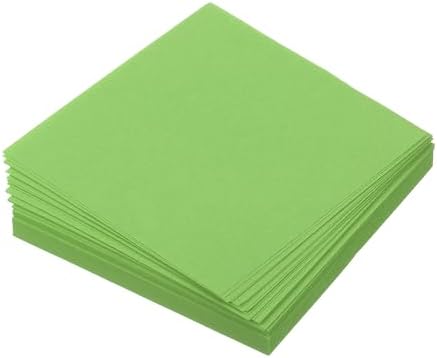 MECCANIXITY 100 Sheet Origami Paper Double Sided Green 2.5x2.5 Inch Square Sheet for Art Craft Project, Beginners, Gift Decoration by MECCANIXITY