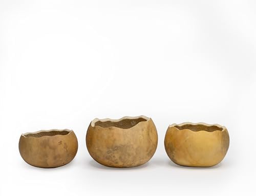 Meadowbrooke Gourds Box of 3 Scalloped Cut 3" Gourd Decorative Bowls for Crafting - Image 2