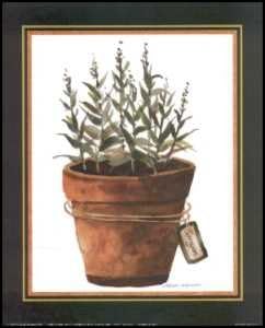 Herbs - Tarragon in Terracotta Pot - Paper Tole 3D Decoupage Craft Kit Size 8x10 inches K5932 by DSC