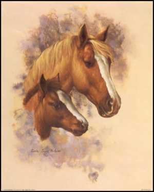 Horse Portrait I - Paper Tole 3D Craft Kit size 6x8 inches K10633 by Unknown