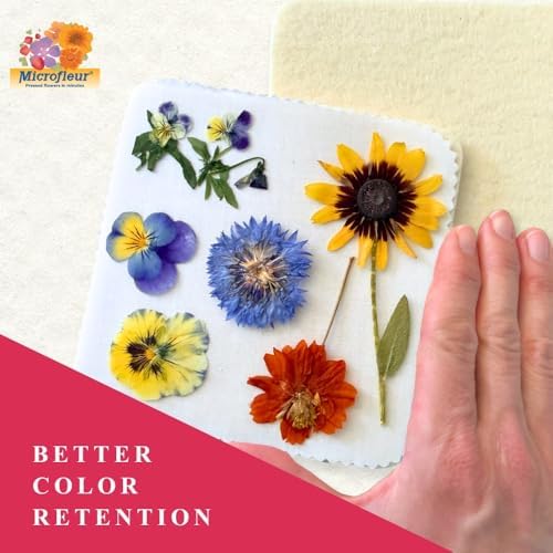 Microfleur Microwave Flower Press Refill Pack, DIY Floral Art - 5" (13 cm) - Image 2
