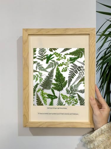55 Pcs Green Leaves Ferns Dried Pressed Flowers for Crafts,Real Nature Dry Flower Bulk for Resin Jewelry Making Candle Making Frame Decoration Art Floral Decors - Image 3