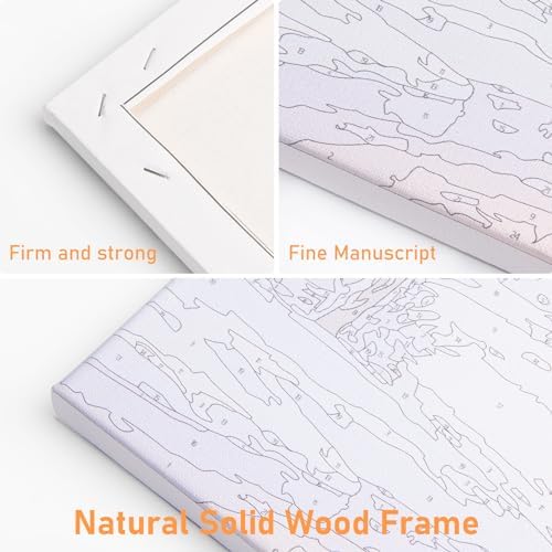 Offito Framed Paint by Numbers Kit for Adults Beginners, Daisy Flowers - Image 5
