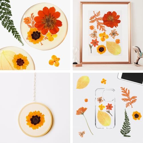 Dried Pressed Flowers Real Natural Petals Bulk Dried Leaves Plant for DIY Art Resin Candle Jewelry Making Bookmarks Scrapbooking Card Decorations Phone Case - Image 5
