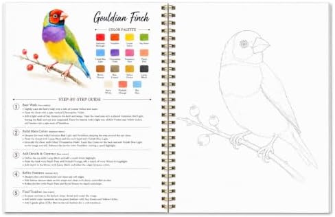 Watercolor Workbook for Beginners – Birds, 16 Original Watercolor Projects, Lay-Flat Watercolor Paper Book(9.45 × 7.48 in), Water Coloring Book for Adults, Art Gift - Image 7